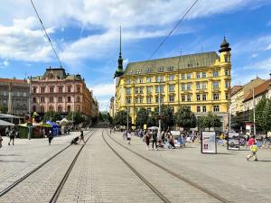 Pronájem bytu 1+1, Brno, Starobrněnská, 44 m2