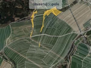 Prodej lesa, Golčův Jeníkov, 17535 m2