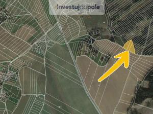 Prodej louky, Opatov, 10740 m2