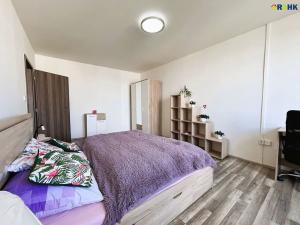 Pronájem bytu 1+1, Hradec Králové, Selicharova, 40 m2