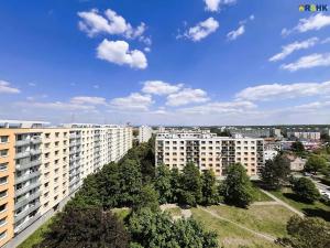 Pronájem bytu 1+1, Hradec Králové, Selicharova, 40 m2