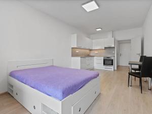Pronájem bytu 1+kk, Zlín, Hřebíčkova, 30 m2