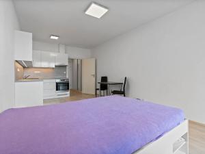 Pronájem bytu 1+kk, Zlín, Hřebíčkova, 30 m2