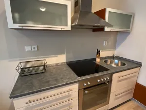 Pronájem bytu 2+1, Brno, Náplavka, 45 m2