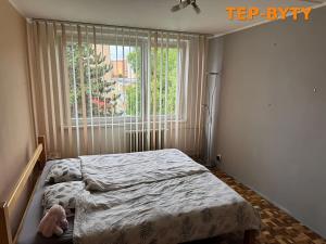 Prodej bytu 4+1, Teplice, Rohová, 90 m2
