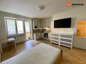 Prodej bytu 1+kk, Ostrava, Podroužkova, 30 m2