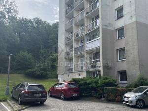 Prodej bytu 1+1, Ústí nad Labem - Střekov, Tolstého, 45 m2
