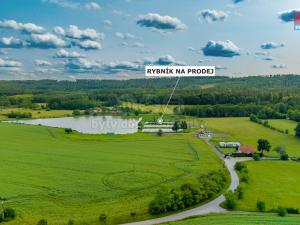Prodej rybníku, Ostružno, 3377 m2
