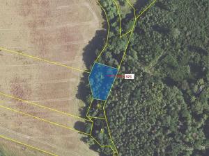Dražba lesa, Sýkořice, 1242 m2