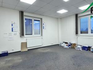 Pronájem výrobních prostor, Planá, Průmyslová, 2247 m2