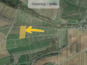 Prodej pole, Krušovice, 22900 m2