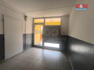 Prodej bytu 1+kk, Praha - Žižkov, Pod lipami, 15 m2
