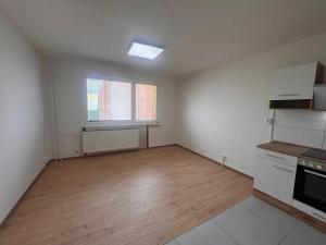Pronájem bytu 1+1, Liberec, Jeřmanická, 42 m2