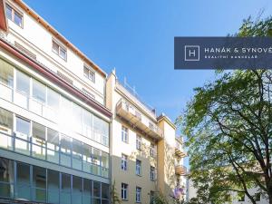 Pronájem bytu 1+1, Brno, Anenská, 26 m2