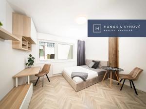 Pronájem bytu 1+kk, Brno, Cejl, 26 m2