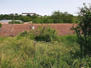 Prodej rodinného domu, Nížkovice, 250 m2