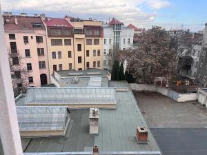 Pronájem bytu 1+1, Brno, Jiráskova, 50 m2