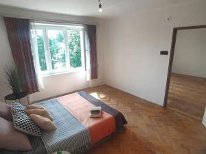 Prodej bytu 3+1, Opočno, Dobrušská, 60 m2