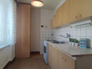 Prodej bytu 3+1, Opočno, Dobrušská, 60 m2