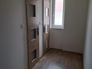 Pronájem bytu 3+kk, Chomutov, Palachova, 68 m2