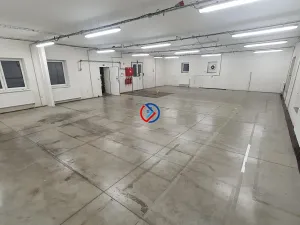 Pronájem výrobních prostor, Horka nad Moravou, 3665 m2