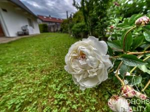 Prodej rodinného domu, Suchdol, 60 m2