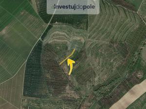 Prodej pole, Hustopeče, 1770 m2