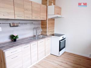 Pronájem bytu 2+1, Chomutov, Dřínovská, 61 m2