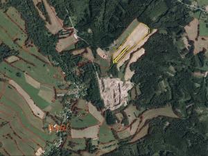 Dražba louky, Trutnov, 65466 m2