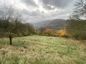 Dražba louky, Děčín, 4431 m2