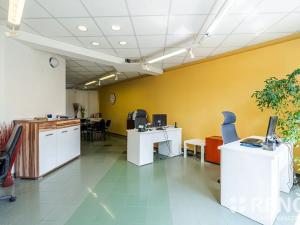 Prodej rodinného domu, Brno, Blatného, 265 m2