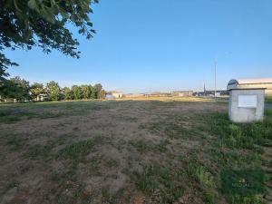 Prodej komerčního pozemku, Žebrák, Náměstí, 7550 m2
