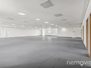Pronájem výrobních prostor, Praha - Letňany, Lovosická, 410 m2