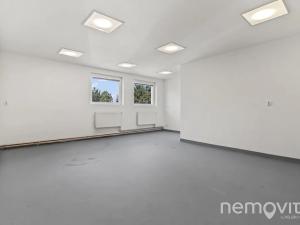 Pronájem výrobních prostor, Praha - Letňany, Lovosická, 410 m2
