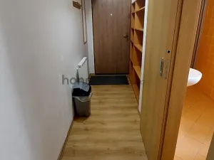 Pronájem bytu 1+kk, Brno, Údolní, 46 m2