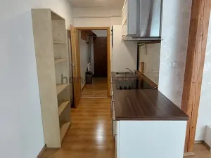 Pronájem bytu 1+kk, Brno, Údolní, 46 m2
