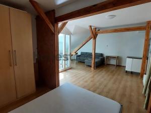 Pronájem bytu 1+kk, Brno, Údolní, 46 m2