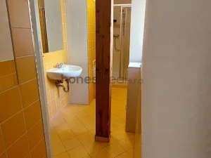 Pronájem bytu 1+kk, Brno, Údolní, 46 m2