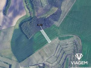 Prodej podílu pole, Těšany, 355 m2