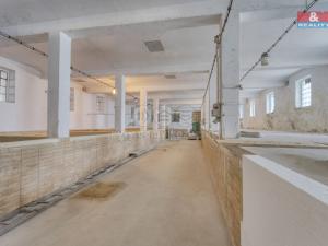 Prodej ubytování, Starý Kolín, Za poštou, 3398 m2