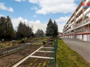Pronájem bytu 3+1, Pardubice - Studánka, Věry Junkové, 72 m2