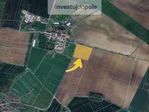 Prodej pole, Podhradí - Šlikova Ves, 7256 m2