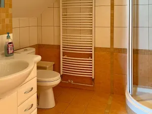 Prodej domu na klíč, Třebíč, L. Pokorného, 251 m2