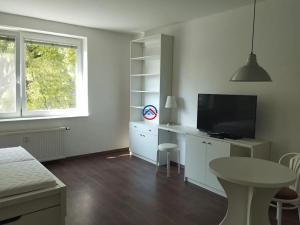 Pronájem bytu 1+kk, Olomouc, U stadionu, 35 m2