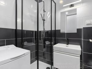 Pronájem bytu 1+kk, Praha - Žižkov, Milíčova, 29 m2