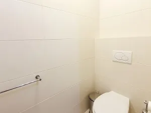 Pronájem bytu 3+kk, Praha - Vinohrady, Italská, 104 m2