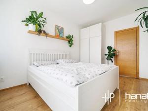 Pronájem bytu 3+1, Olomouc, Purkyňova, 68 m2