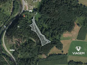 Prodej podílu lesa, Poniklá, 3846 m2