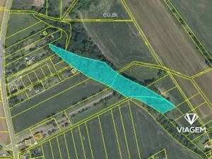 Prodej podílu lesa, Charváty, 570 m2