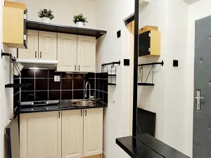 Pronájem bytu 2+kk, Praha - Žižkov, Hartigova, 36 m2